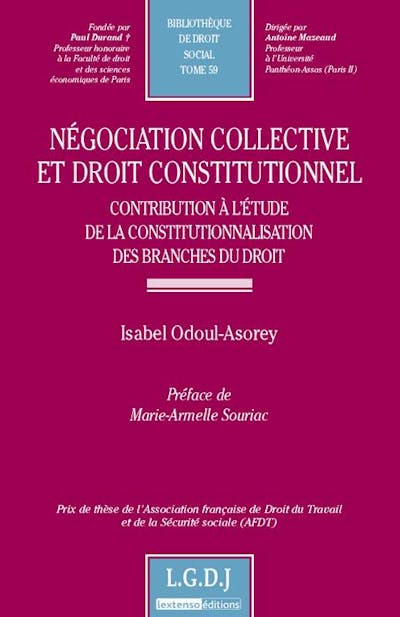 Négociation collective et droit constitutionnel. Contribution à l'étude de la constitutionnalisation des branches de droit Négociation collective et droit constitutionnel. Contribution à l'étude de la constitutionnalisation des branches de droit