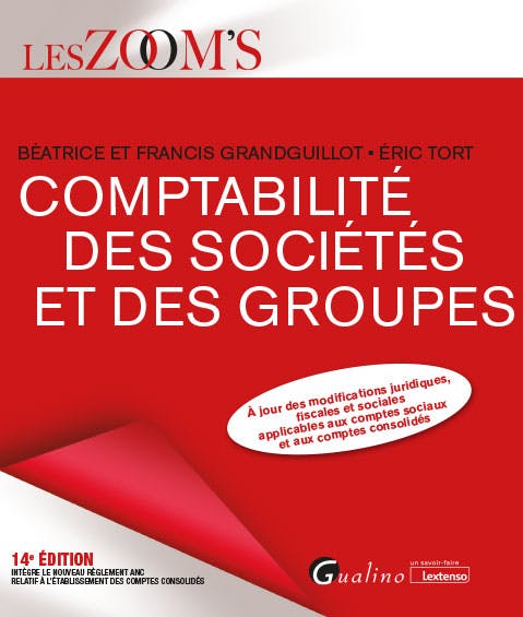 Comptabilité Des Sociétés Et Des Groupes - Gualino